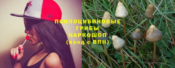 первитин Богданович